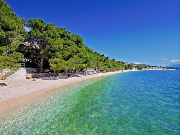 Apartments Niko, Near Beach, Free Parking, Wi-Fi Tučepi Eksteriør bilde